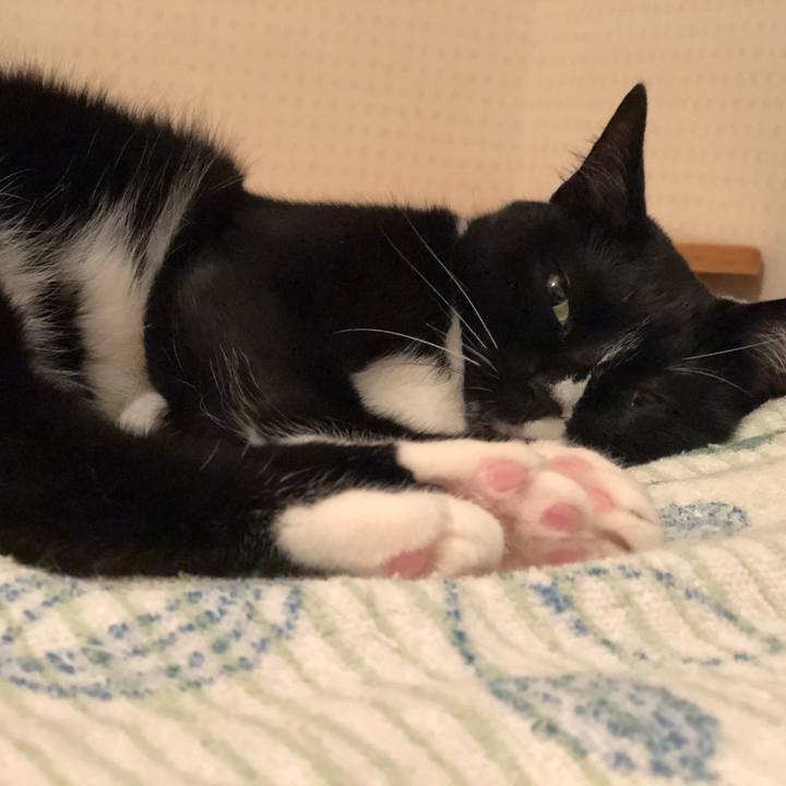 24f8246f 3d40 4440 9d30 1c53793657f5 1531706096833