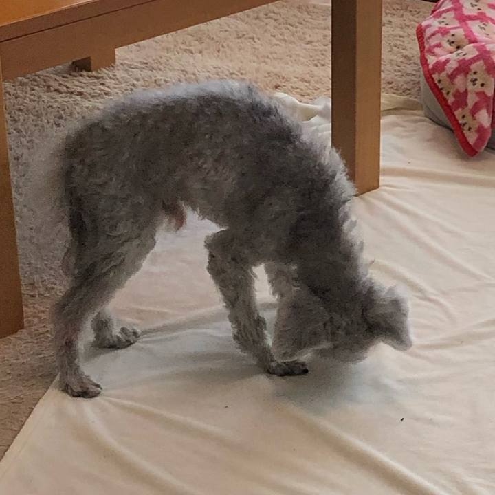 24f84b9f 0a11 4cd6 8103 c1358c0fb89a 1640650714068