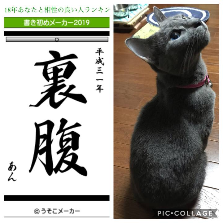 24f85330 e8e1 4fe6 995e 1a870c22f397 1546389733453