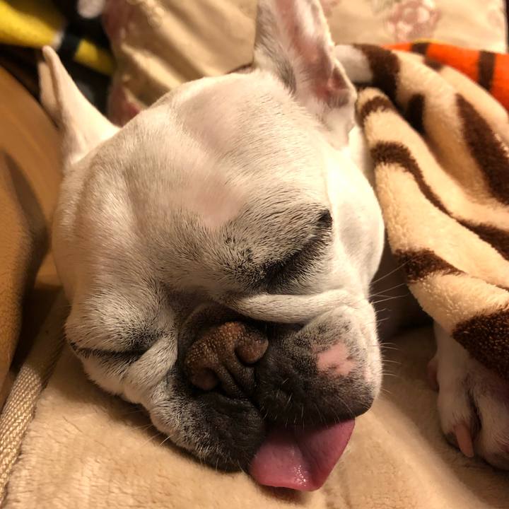 24f89fcb c1d7 4b64 b32c 8594f3737e86 1646827371122