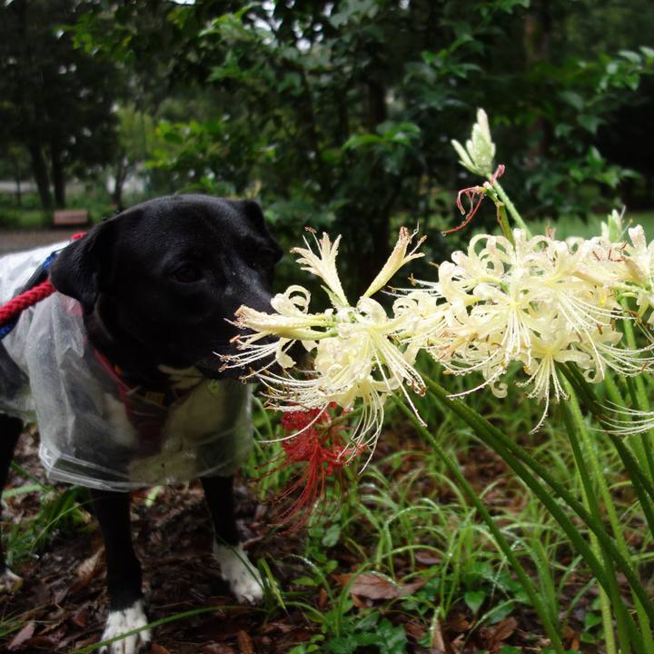 24f8c856 eb63 4ddd 8f2e 27620b105ac2 1600991539852