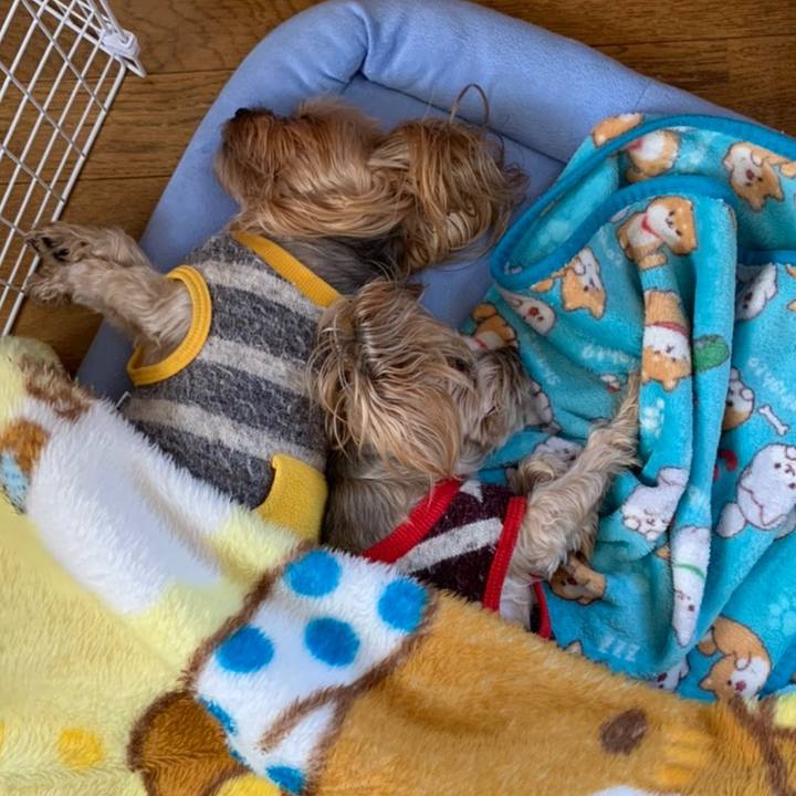 24f8dac6 437d 4364 81b5 56a33af742c5 1616490504577