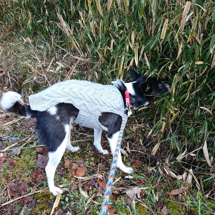 24f8e80a 7bb4 4dfd ab6f e01e83528849 1548210016380