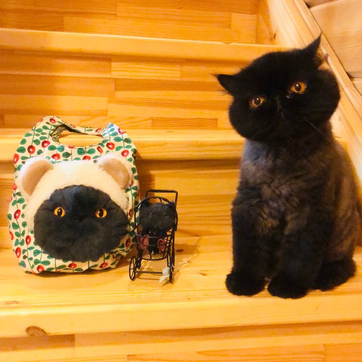 24f8ebf0 921a 4a31 a790 a465ef736ce6 1664711533016