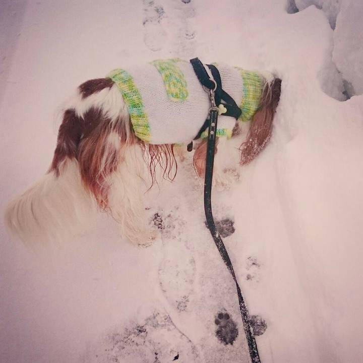 24f924ca 73f6 4d70 bc2e ceabacc1db54 1515711437324