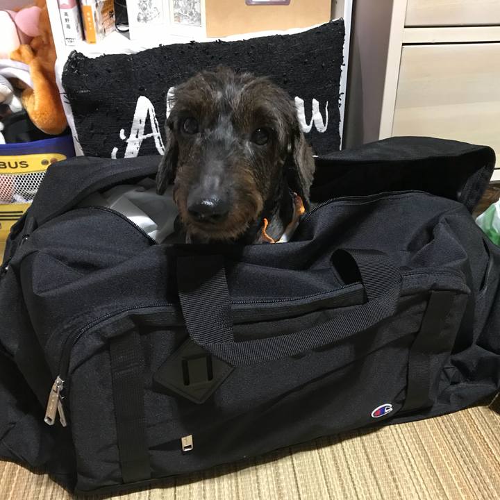 24f93d72 a08b 4295 a895 2c04b4fecad2 1533739600691