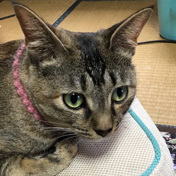 24f954d3 49c9 44f0 8f0a 35072983f5c2 1594607636146