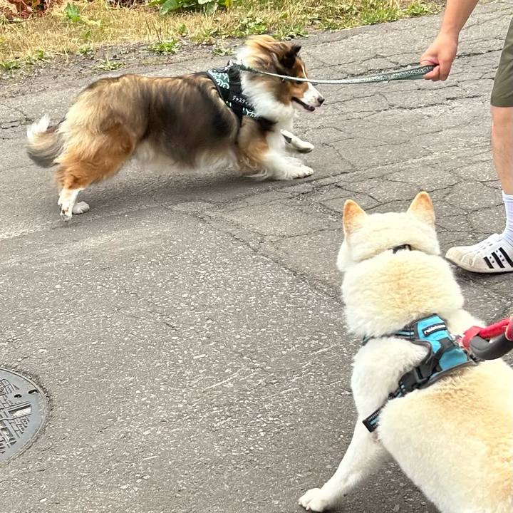 24f95674 f1ee 404a a40c 2adbb0a2eabf 1752440948796