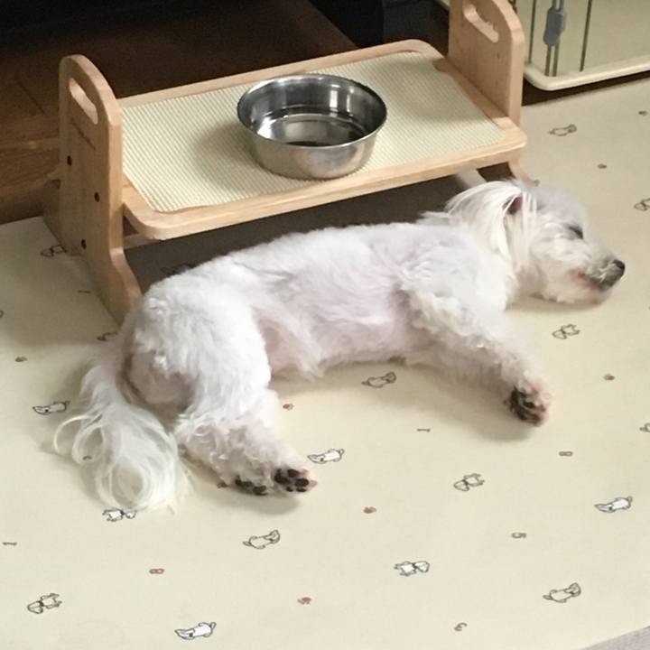 24f97c95 bb80 4484 8aa5 a29f98271096 1532492553587