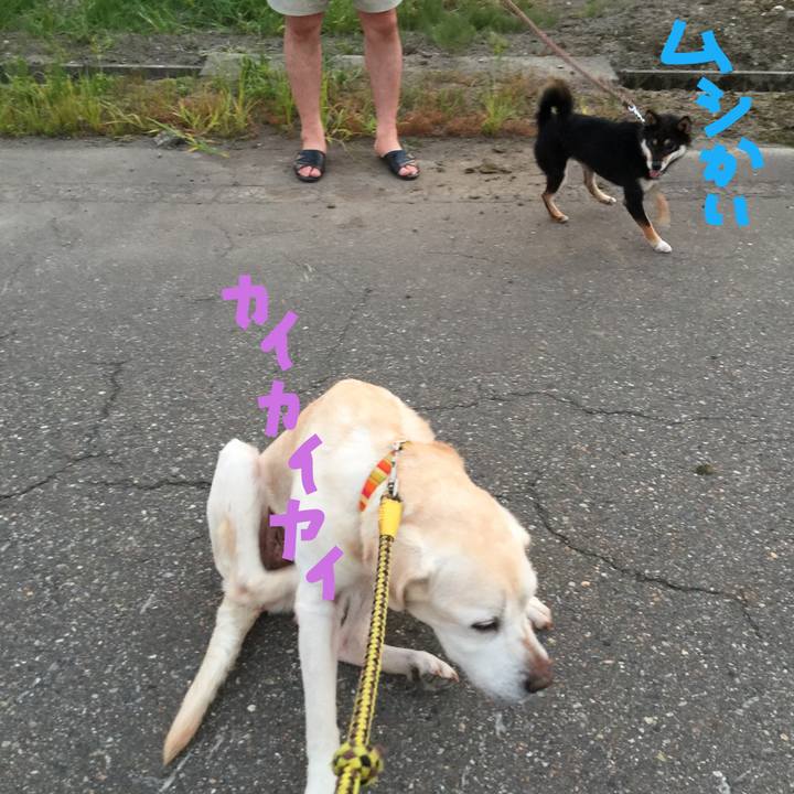 24f98c34 9dce 48f8 89e8 728e9b757e0a 1532281861223