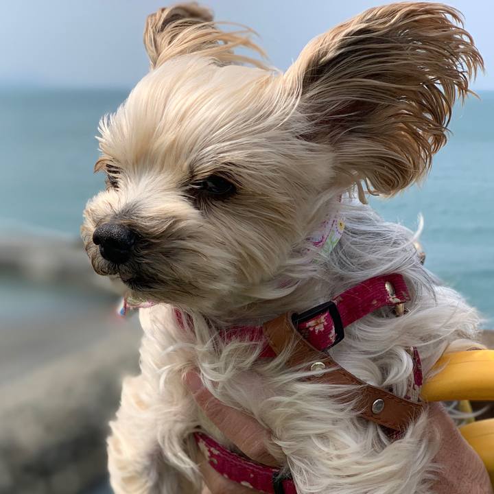 24f997ba 1922 4df5 b6a3 2d81e12198d9 1556616838910