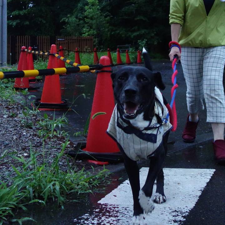 24f99b58 94ea 4496 817a ce1fd6ed0219 1592562708389