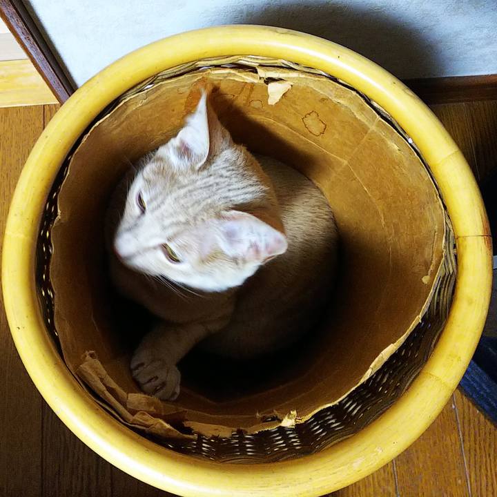 24f9c046 d4c2 4aa6 af09 224fa93ea920 1547679695939