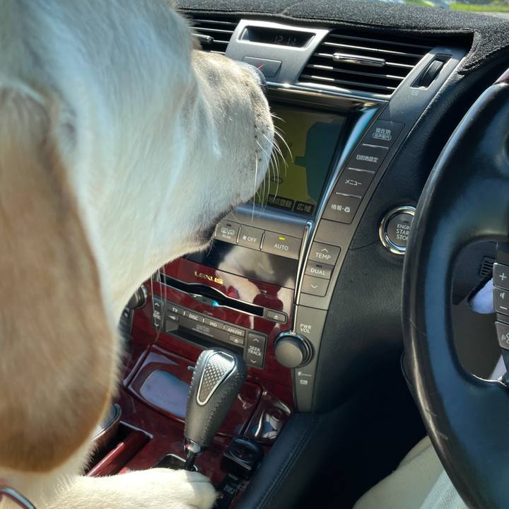 24f9e9fe 44c2 4a31 b4d7 c88c5c0f8560 1633749196688