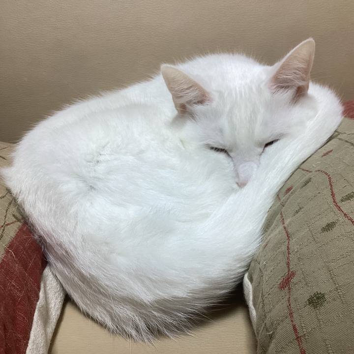 24f9f7c8 5c31 4b8d 989f 7e072c47da92 1666312446185