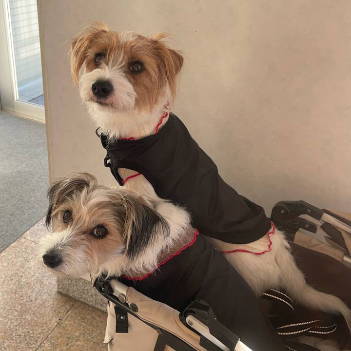 24fa0686 2f9d 4fbf bf7e 6889519aaa7c 1764119084243