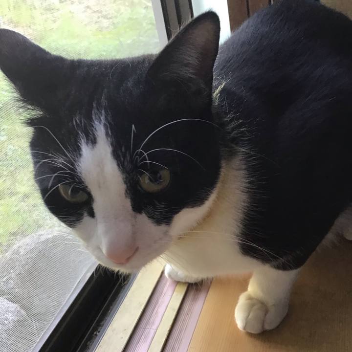 24fa166c 8595 4fa9 b4e8 330e00574844 1649495170176