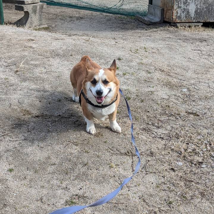 24fa2f78 8881 4561 8640 1d50c10cc1fe 1707191879811