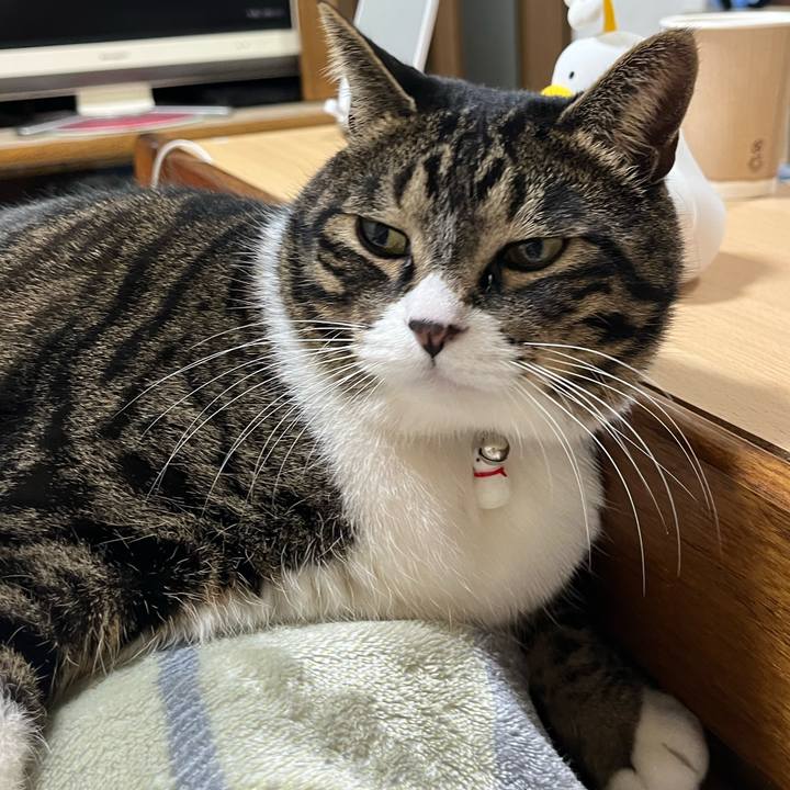 24fa8f14 0e79 4255 8239 98450601acb2 1768521515739