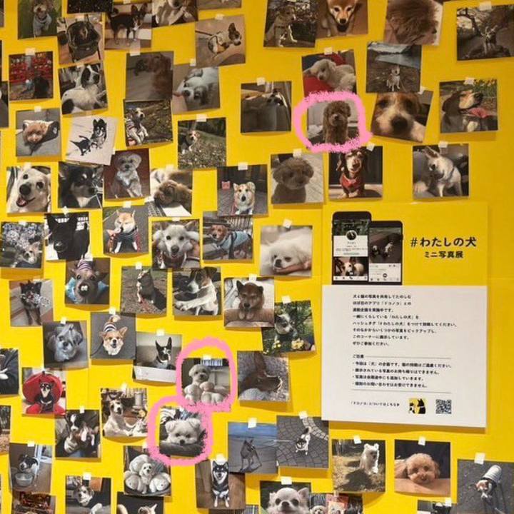 24fa9886 d384 4328 8a91 a717e2e4d307 1774134050167