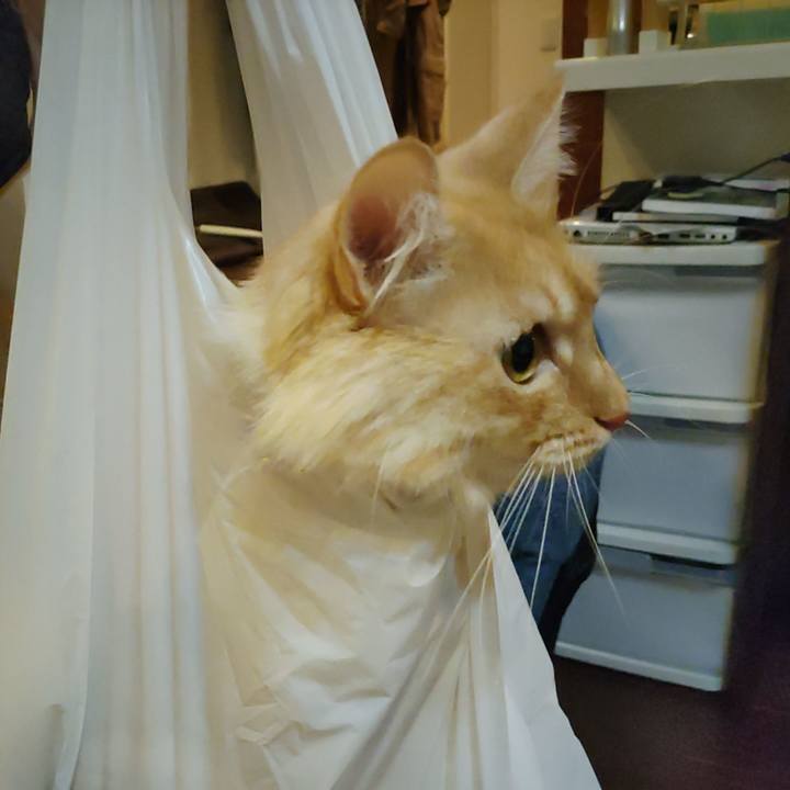 24fab123 7c02 403b be67 b629713cee97 1668341827026