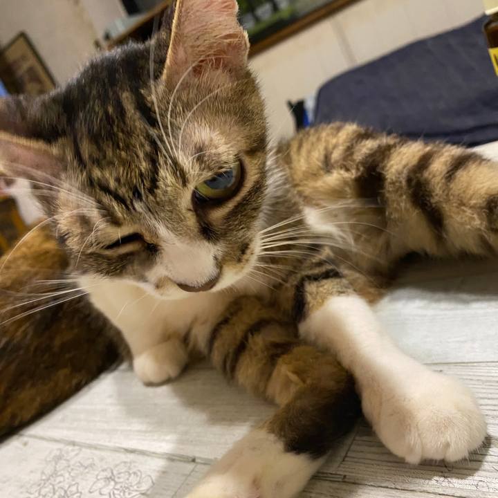 24fae74d 8040 4c1b 9d8f 48d12e111fb3 1600652766618