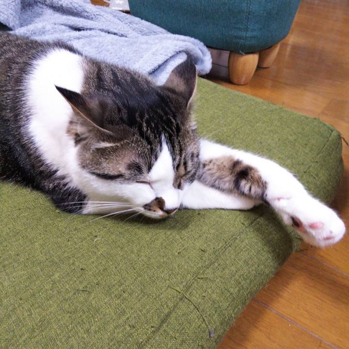 24fb02aa 87bf 4525 a4f8 96e95f7c5dcc 1651842511541