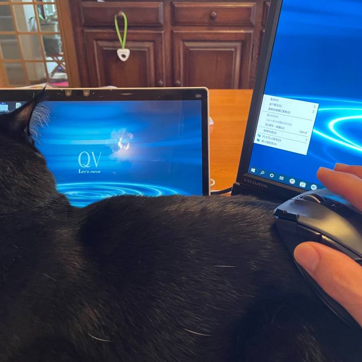 24fb17a3 e676 4ed7 8479 5cb697f6a2dd 1665799479664