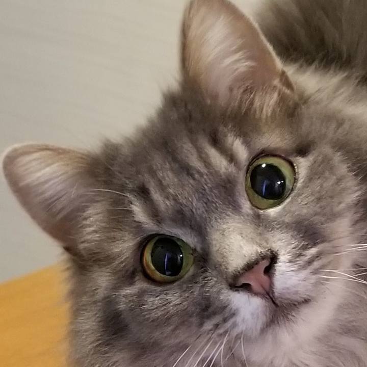 24fb2972 6b65 486f 88e4 ecf94ec1d765 1579945424736