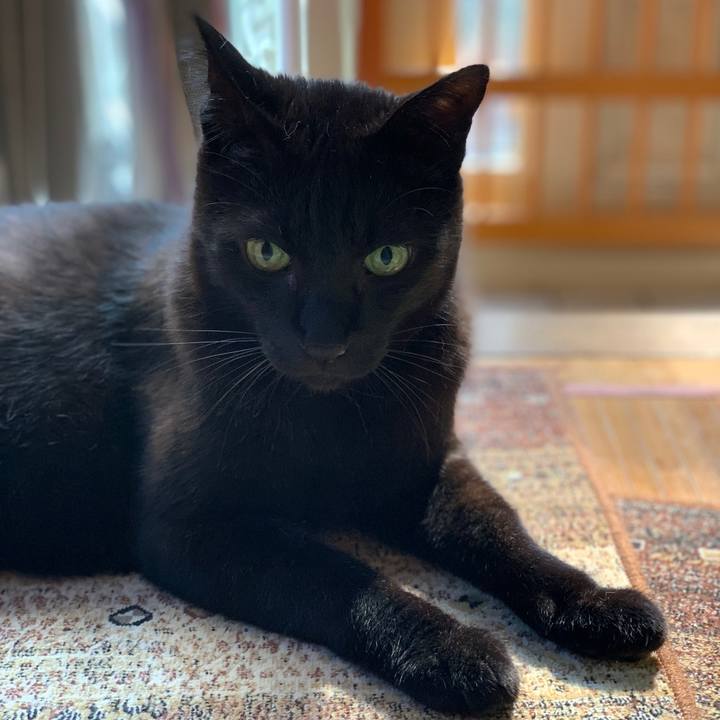 24fb3549 b06d 4d88 bd4b a66ce73dcc21 1561161396027