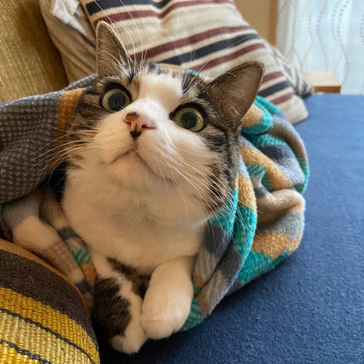 24fb3996 7680 4446 b578 c75f80565e68 1606537580253