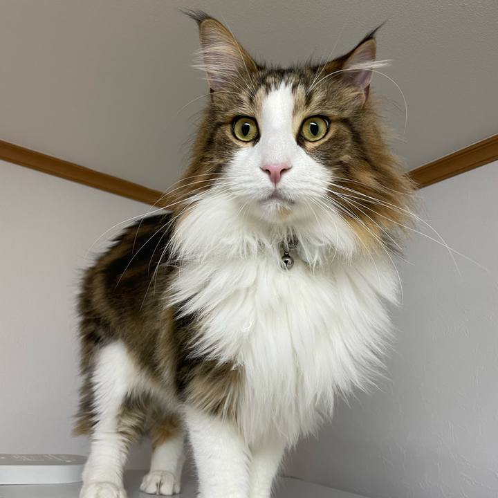 24fb88df 5544 4353 8425 6d36aa1803be 1669752169174