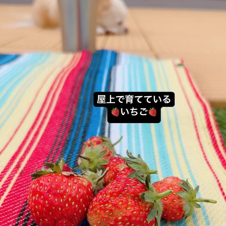 24fba109 4376 4fa8 b493 a3f2d7a926db 1714211656409