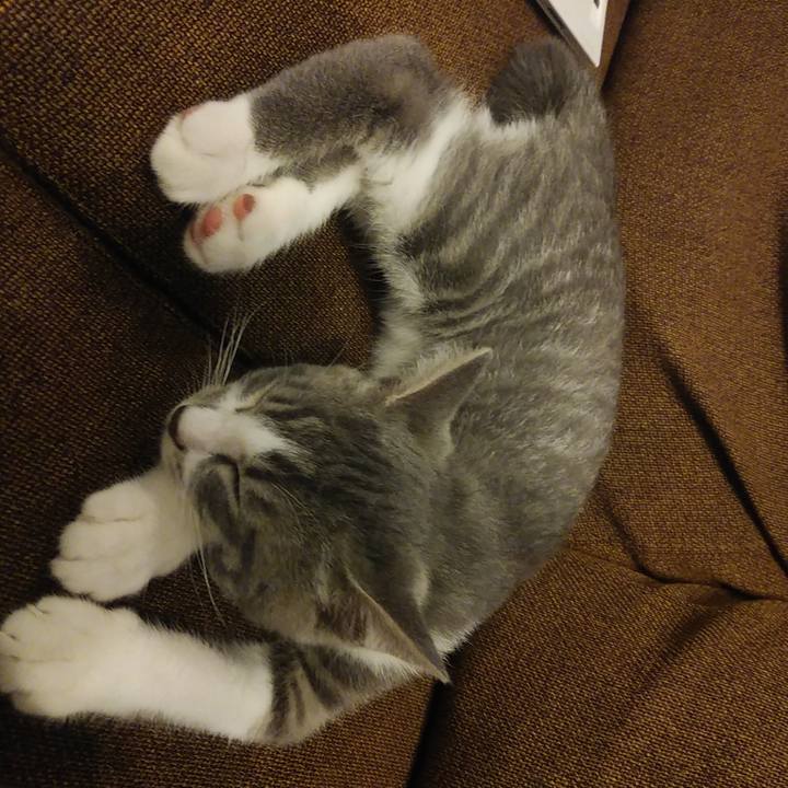 24fc038c 44ea 4c05 96d1 01e2fcc562ff 1565083586879