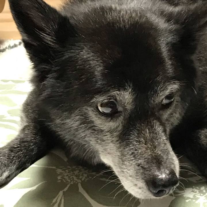 24fc0d0a 5851 4b44 b028 07e17fc857e8 1634105177572