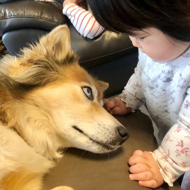 24fc17bc afe9 4618 9a7c 8c54d1894194 1590057426064