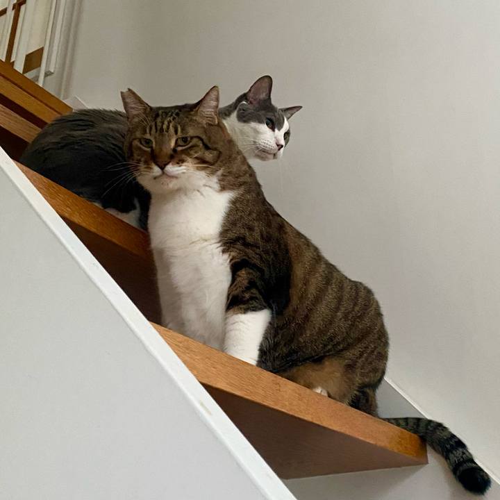 24fc266b bd50 4c48 b580 e0ccb260c150 1760336117275