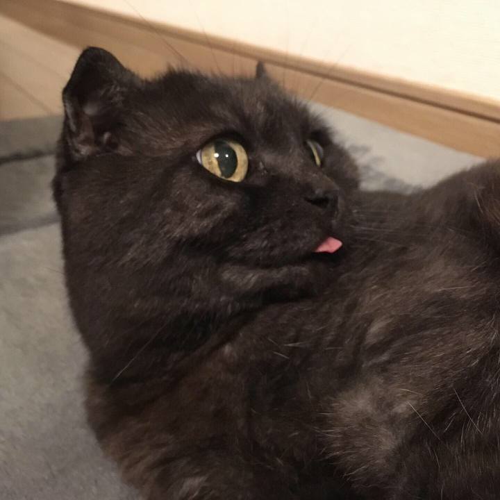 24fc6e45 7d8d 476f b57d e1f13c7fbe0e 1559348577926