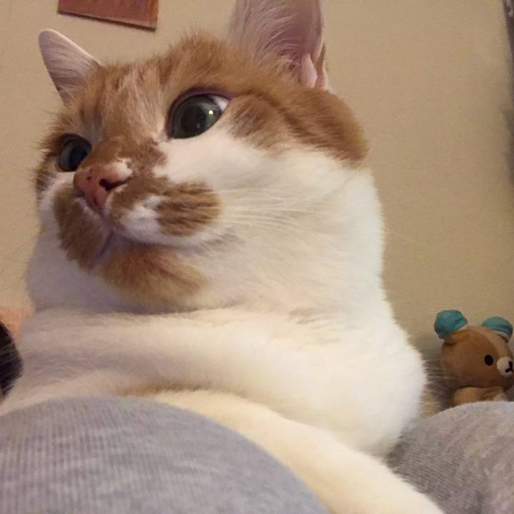 24fc7227 4838 4500 b5cb d2ca658a425a 1576921642251