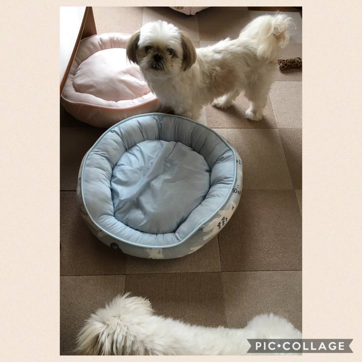 24fc8d1a b74b 42cb 9834 14aff00e49f1 1564032033680