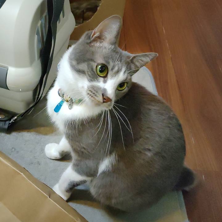 24fc9304 38d3 478e 9403 80ba15fee334 1701209548640