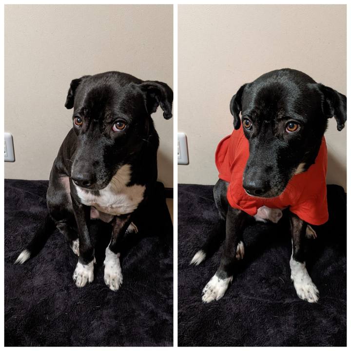 24fc9d6c cfb3 4e83 861c e8b3c86567ad 1640948861963