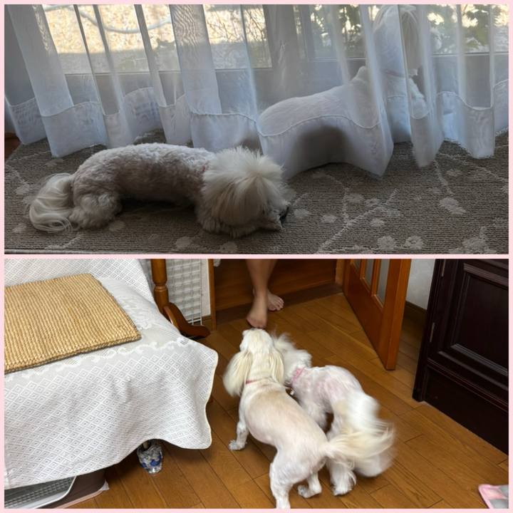 24fcec41 abca 429a 9499 de7ef258a9aa 1753345566502