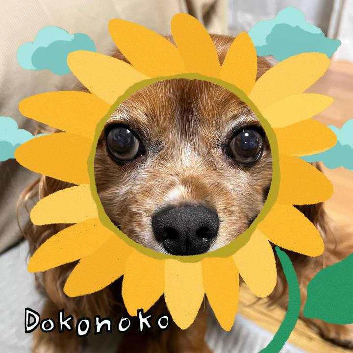 24fd016d d74a 4085 bbd4 f89c8069878b 1723416989788