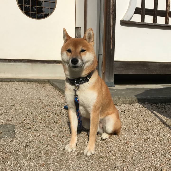 24fd10b9 0e8d 47a5 b76a 952eb6f573c6 1510913139386