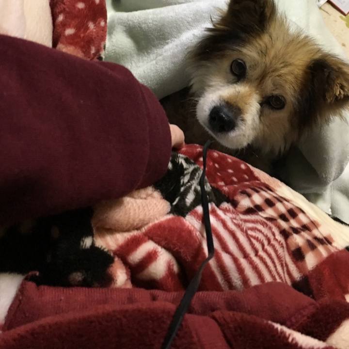 24fd2e24 e58f 45bb b665 88ef1e6d2e1a 1577765395171