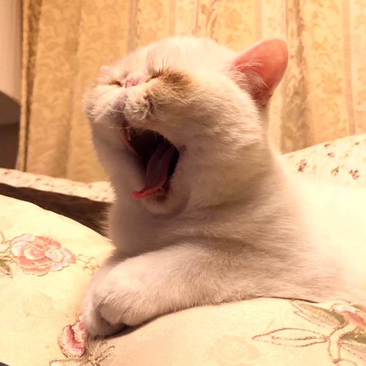 24fd3da7 72e1 42b8 a23a b9cd49a06913 1556114542677