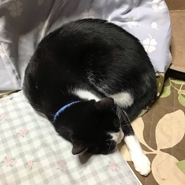 24fd75f7 1a0a 4512 95be a74e71ffcbc8 1732533068692