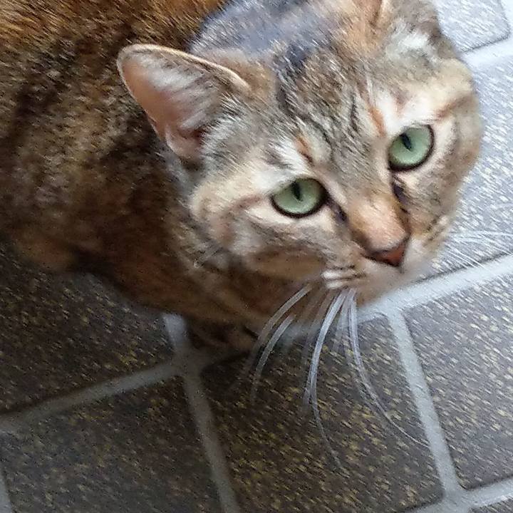 24fd7942 cb71 4abc aa5a 4bc45b7b7b5a 1591170027491