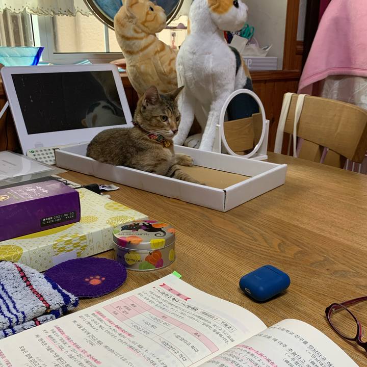 24fd90ad 04fb 4c45 9807 712c3c7b4f7f 1599960813442